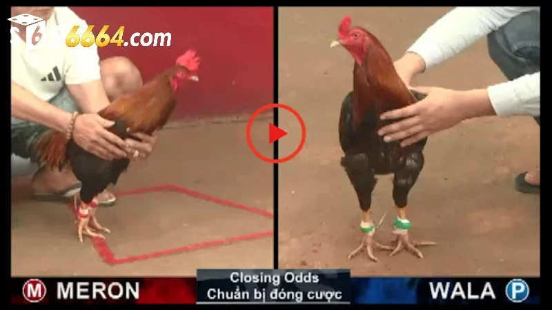 Chọn thời điểm chốt kèo bất bại