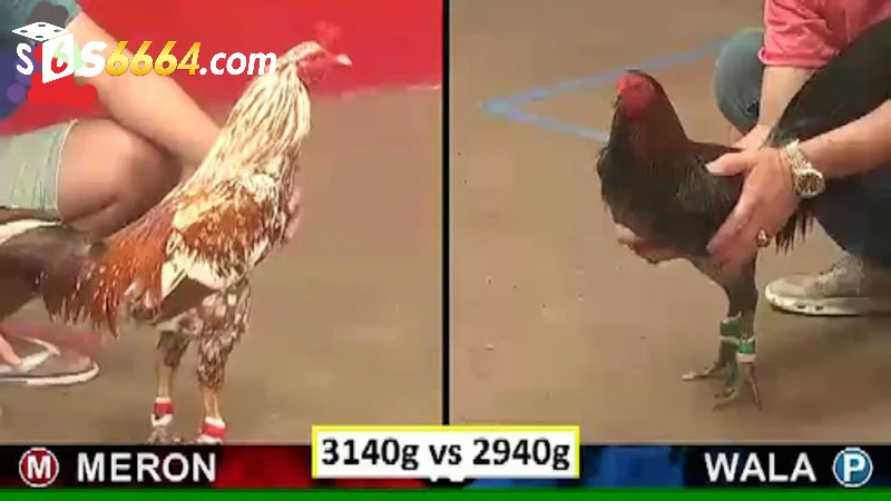 Nắm bắt thông tin để dự đoán chính xác kết quả